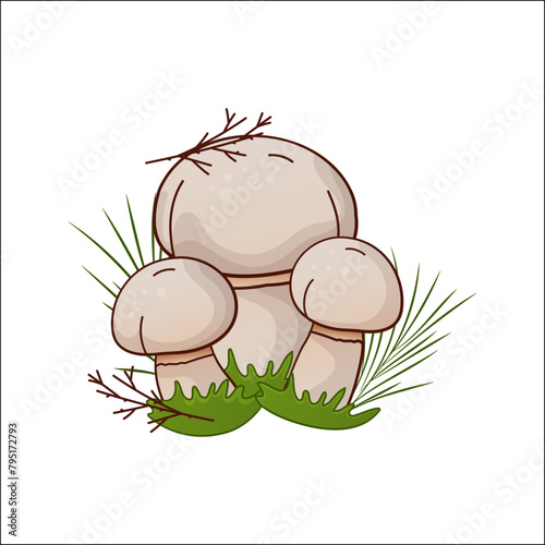 Champignon mushroom vector isolated illustration. Theme of plants, botanists in cartoon. Design element for theme forest mushrooms, menu, ingredients, recipes, organic products, etc.