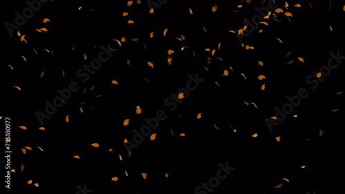 Dry Leaves Falling on Cut Out Alpha Channel Black Background 3D Animation. photo