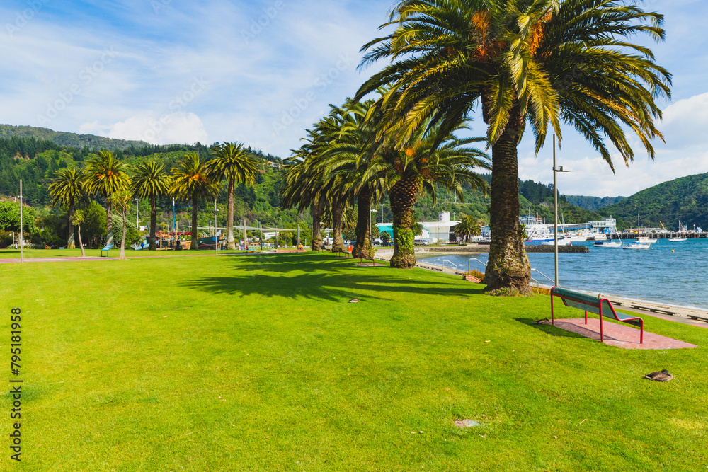 Grass area on harbour with tropical palm trees 
