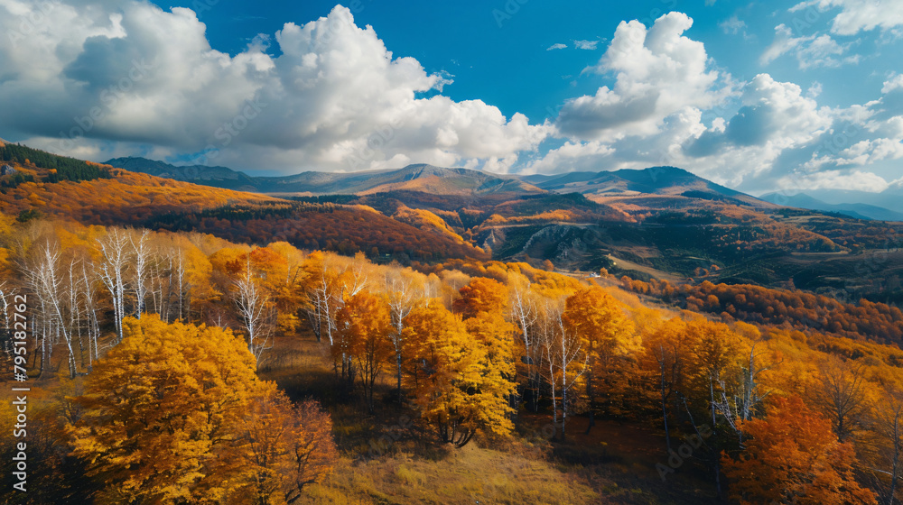 Yellow autumn trees in the mountains at sunny day. 