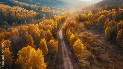 Yellow autumn trees in the mountains at sunset. Road background