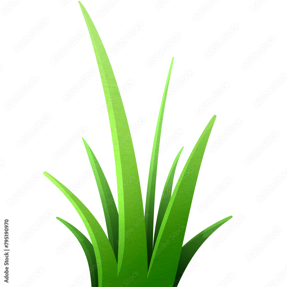 Wild growing grass. Field grass with big petals. green meadow. lawn season plants. Wild growing grass. Field grass with big petals. green meadow. lawn season plants.