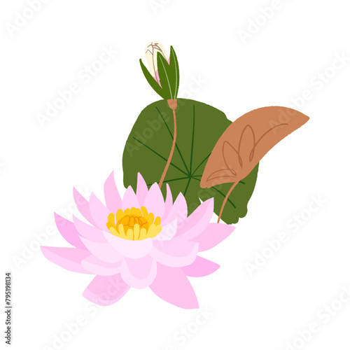 Water Lily lotus flower and leaves set, vector illustration in cartoon style. Water plant isolated on white background