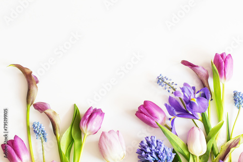 beautiful spring flowers on white background
