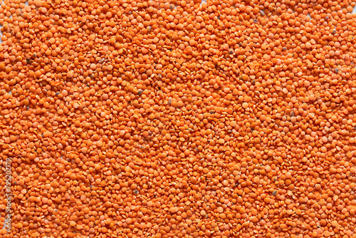 Red lentil texture background