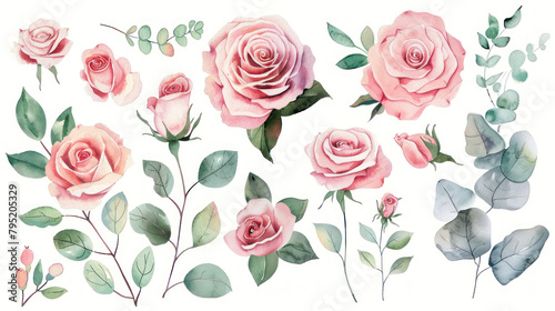 Set of Gorgeous Pink roses compositions. Watercolor illustrations isolated on white background. Floral design elements, corner, border, arrangement for cards, invitations. Stickers, print design