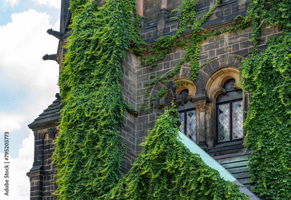 Fototapeta premium Martin Luther Church in Dresden, ivy-covered