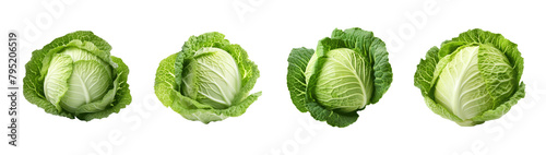 Four large green cabbage heads are shown in a row Set of png elements.