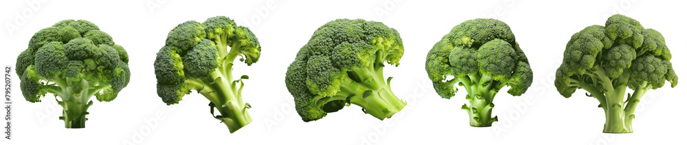 A row of broccoli heads are shown in various sizes and orientations Set of png elements. A row of broccoli heads are shown in various sizes and orientations Set of png elements.