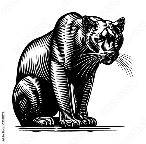 panther engraving black and white outline