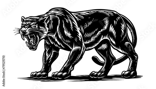 panther engraving black and white outline