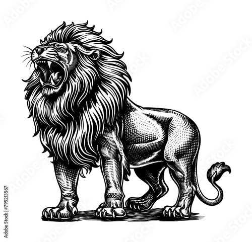 lion open mouth engraving black and white outline © slowbuzzstudio
