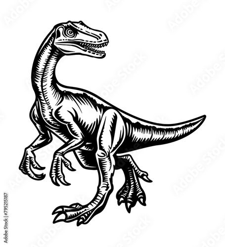 velociraptor engraving black and white outline
