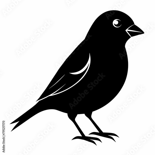 Cuadro en lienzo finch silhouette vector illustration