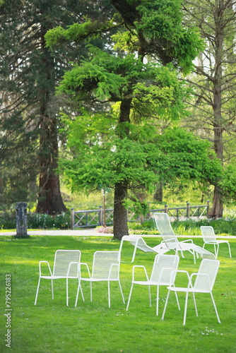 Photos white chairs on the lawn, in the park in spring, white chairs on green grass, re