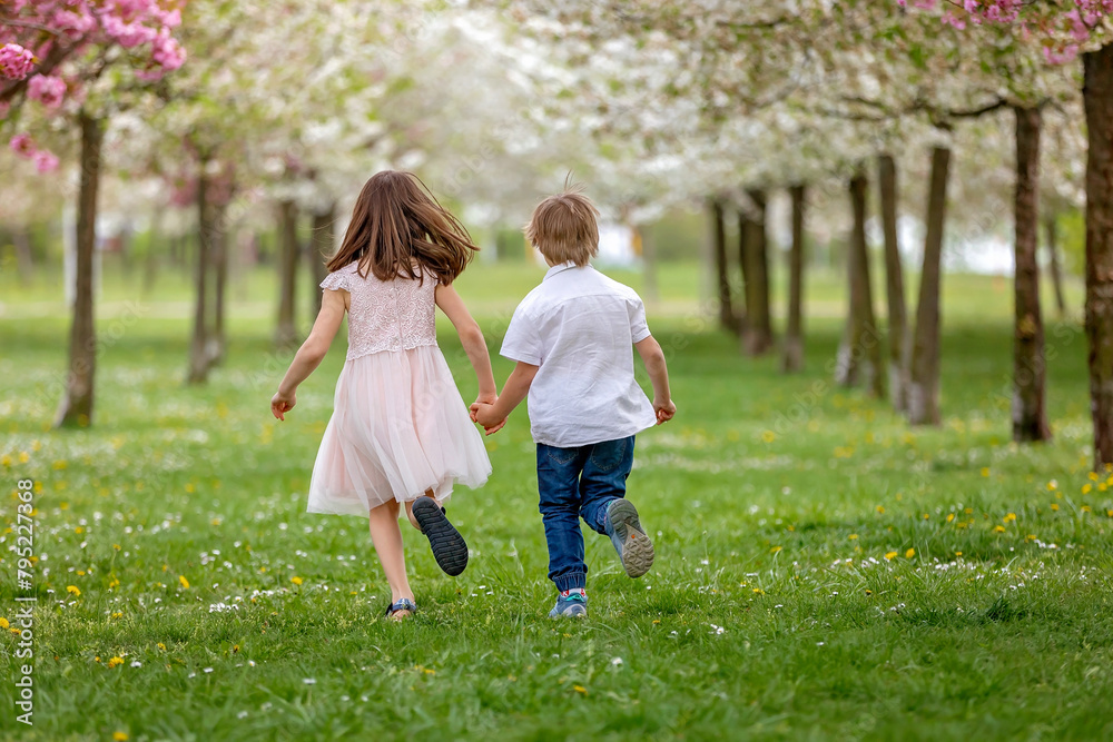 Fototapeta premium Happy beautiful child, kids, playing with small beautiful ducklings or goslings, cute fluffy animal birds