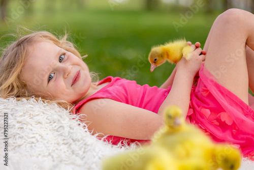 Happy beautiful child, girl kid, playing with small beautiful ducklings or goslings, cute fluffy yellow animal birds