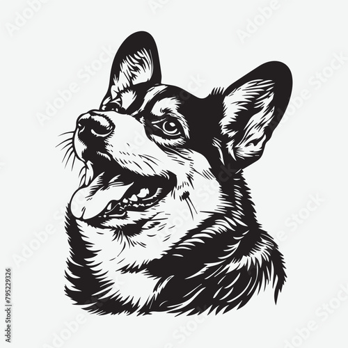 vector, isolated black silhouette of a dog, collection. Dogs collection. Vector illustration of funny different breeds dogs in trendy flat style. Isolated on white.