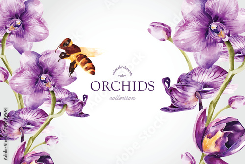 Orchids watercolor vector on white background design