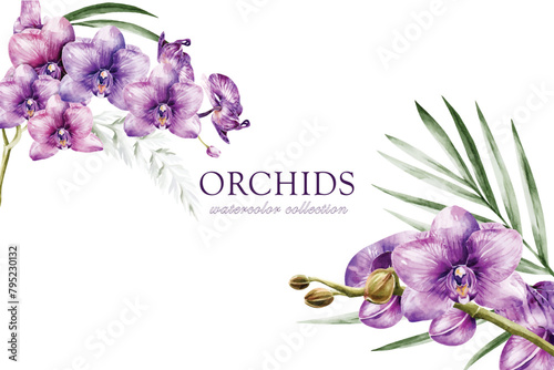 Orchid watercolor vector on white background design