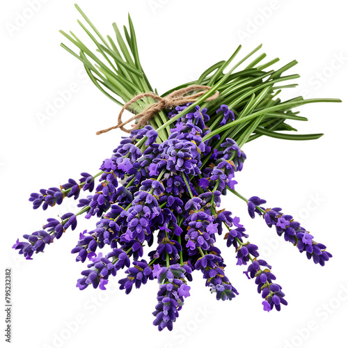 A bundle of lavender flowers tied with a brown string.