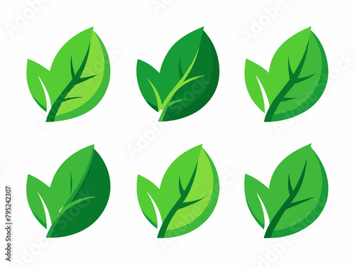 Leaf icon set. Set of leaves. Green leaves isolated on white background.