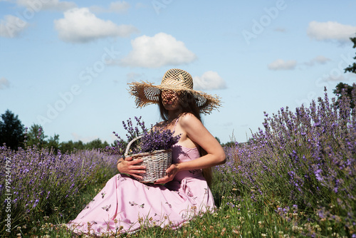 Young sexy beautiful woman relaxing and enjoys the scent of flowers while sitting on a blooming lavender field with a basket of flowers against the sky. Harvesting flowers.	