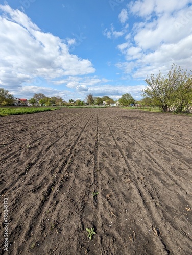 Vászonkép plowed field in spring