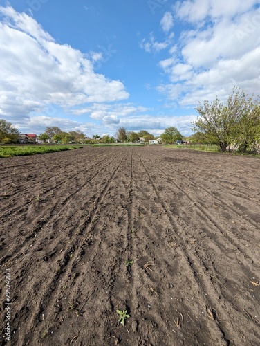 plowed field in spring