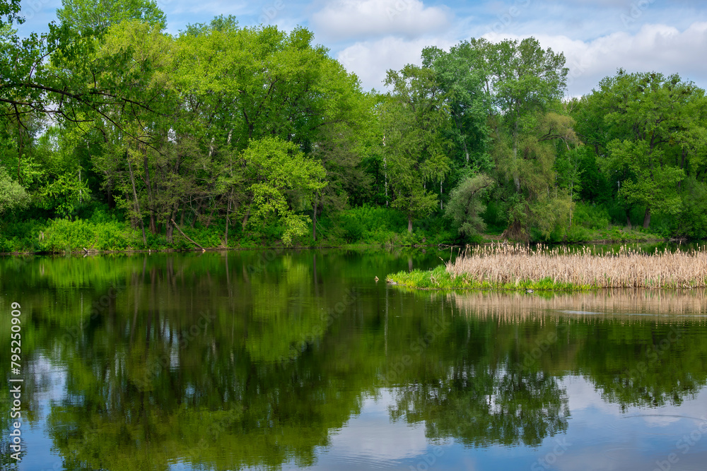 Beautiful quiet spring landscape overlooking green trees and a small river. Beautiful quiet spring landscape overlooking green trees and a small river.