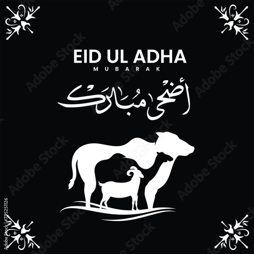 Eid ul adha post, muslims fastival photo