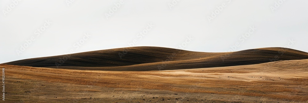 Capturing the elegance of minimalism  rolling hills in focus with a standard lens