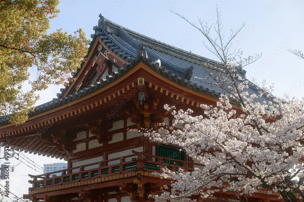 東京の春2024 東京の春2024