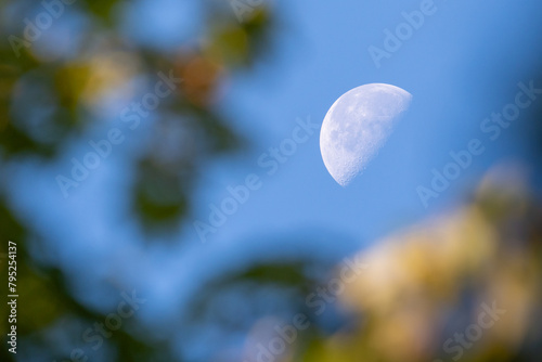 Half moon peeking through the leaves at a local park in Finland during autumn