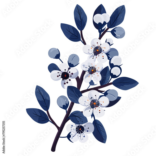 A blue Blackthorn and white flower with a stem
