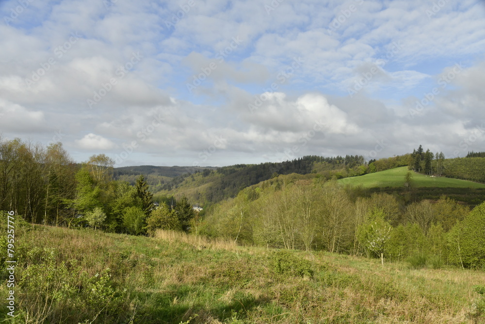 Contraste entre ombre et éclaircie sur le gazon et les cimes des arbres sur les collines aux environs de Bouillon Contraste entre ombre et éclaircie sur le gazon et les cimes des arbres sur les collines aux environs de Bouillon