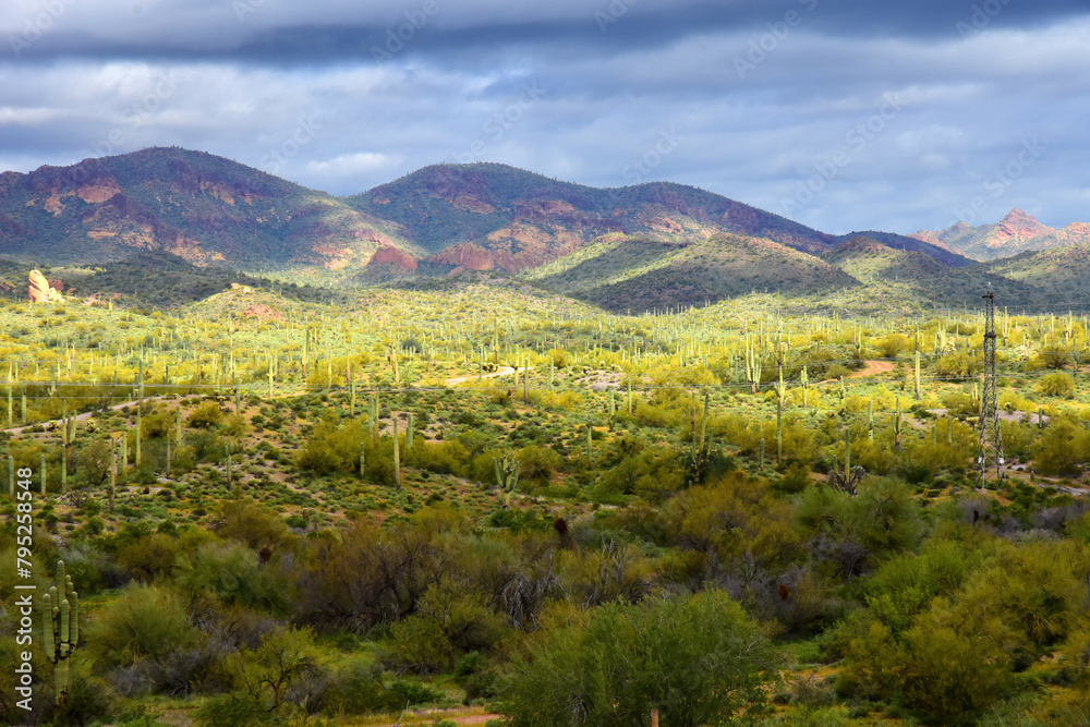 Fototapeta premium Superstition Mountains Foothills Arizona