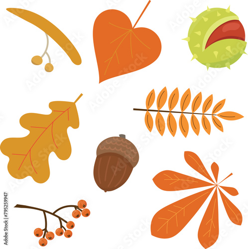 Vector illustration set of parts of different trees. Colorful cartoon illustrations for kids. Elements for stickers, educational worksheets etc.