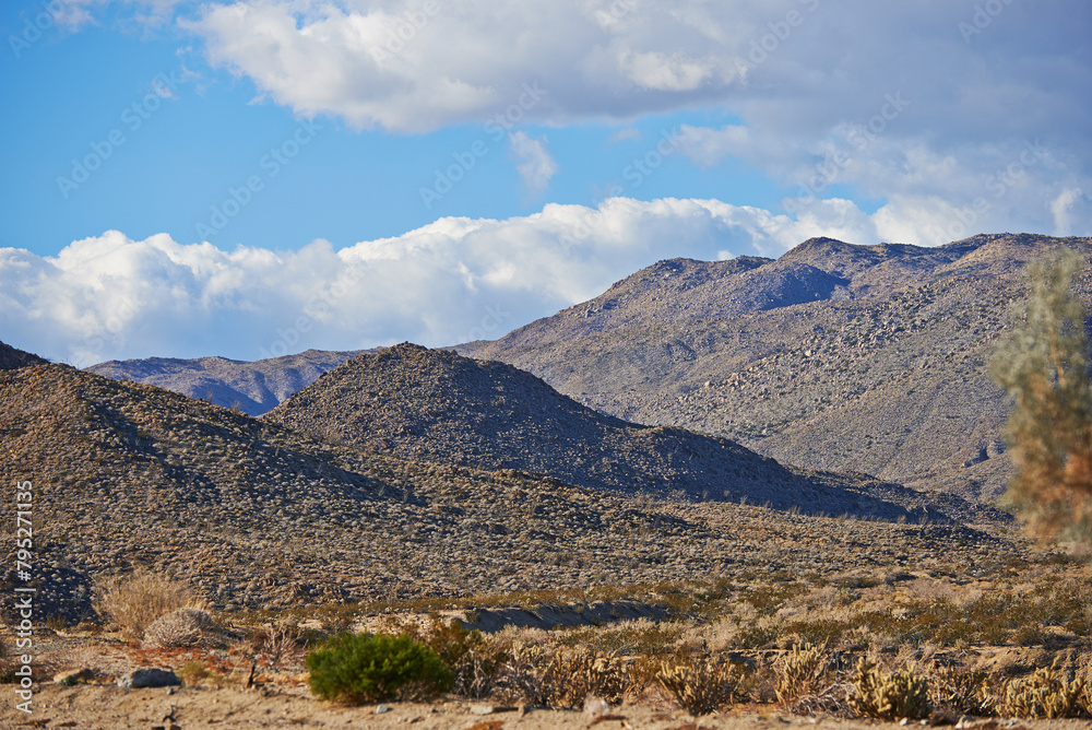 Desert, landscape and nature with mountain, sunshine and clouds with summer, weather and rocky. Empty, flowers and wildlife with dust, field and plants with cactus, tourism and travel with adventure