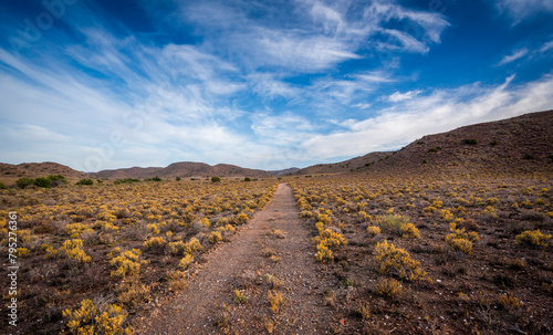 Bild auf Leinwand Karoo semi desert arid landscape with sky and clouds in South Africa