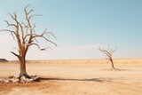 Bare, dead trees stand in stark contrast against the desert sands of Deadvlei in Namibia, conveying desolation. Desert Trees in Vast African Landscape