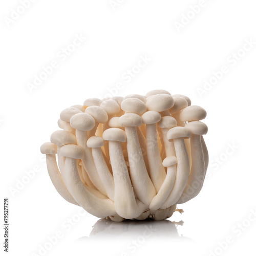Fresh white shimeji mushrooms