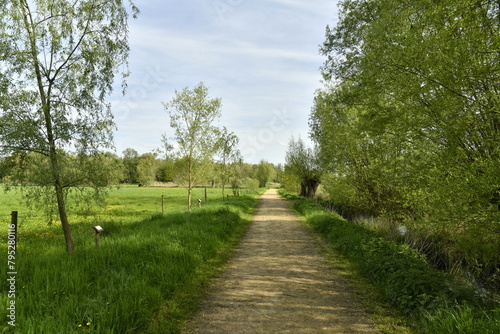 Chemin entre deux bois au Vrijbroekpark à Malines 