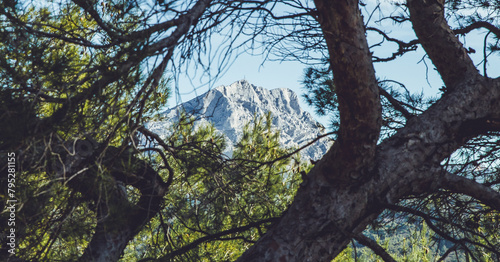 Sainte Victoire in Provence, France photo