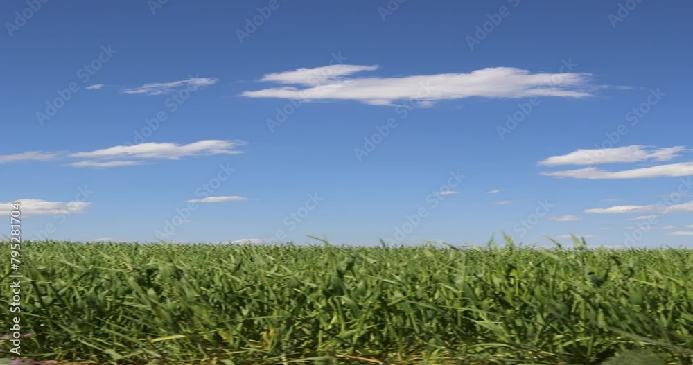 cloudscape beautiful sky environment landscape cloudscape beautiful sky environment landscape