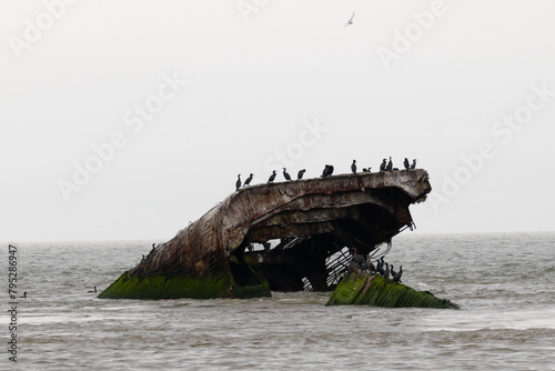 This is the stone ship or concrete ship of Cape May New Jersey. The piece of ship protruding from the water is now a bird refuge. Double-crested cormorants are seen perched on top here.