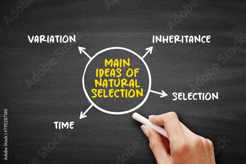 Main ideas of natural selection (differential survival and reproduction of individuals due to differences in phenotype) mind map text concept background photo