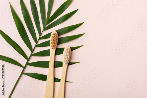 Eco-friendly bamboo toothbrushes with tropical palm leaf