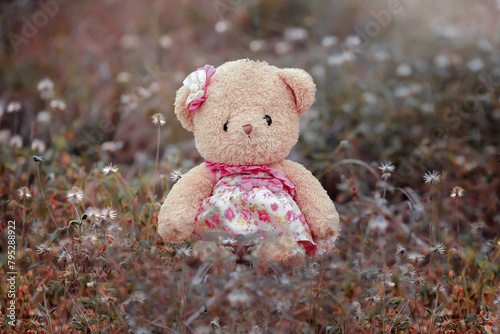 teddy bear on the floor © Tongsai Tongjan