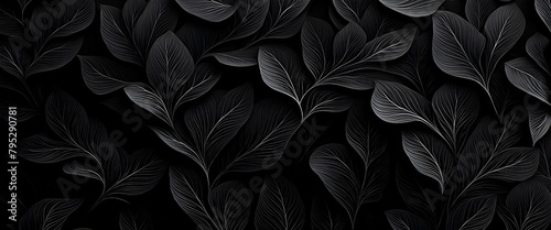 Elegant black background with black leaves. With organic lines. Banner format. Trendy background.